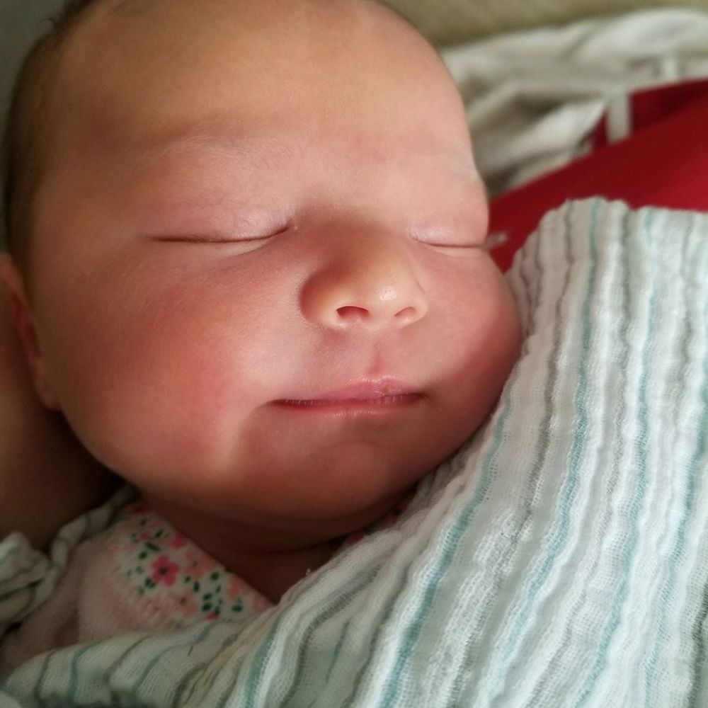 Meet your Posher, Susan